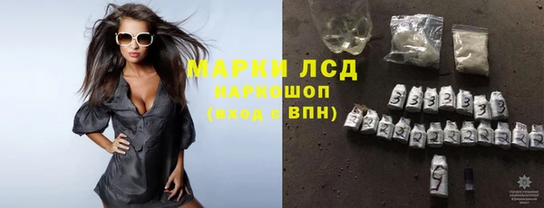 ПСИЛОЦИБИНОВЫЕ ГРИБЫ Алексин